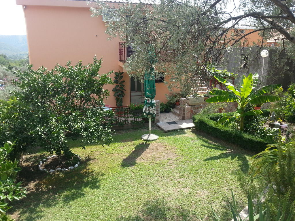 Apartments Kovacevic Petrovac المظهر الخارجي الصورة