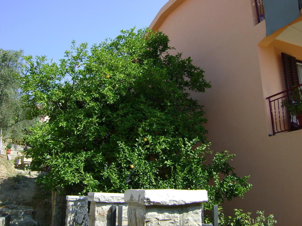 Apartments Kovacevic Petrovac المظهر الخارجي الصورة